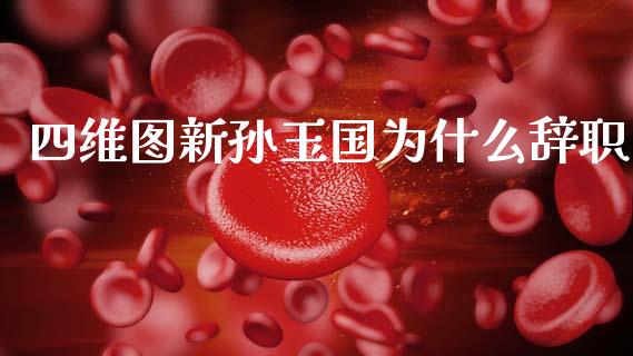 四维图新孙玉国为什么辞职_https://www.fcdydaikuan.com_恒指期货直播_第1张