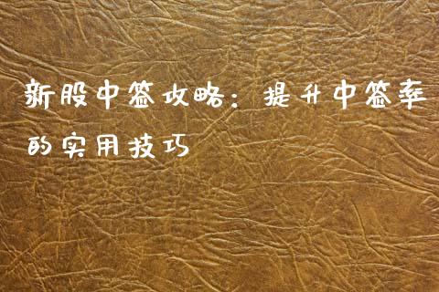 新股中签攻略：提升中签率的实用技巧_https://www.fcdydaikuan.com_黄金期货直播_第1张