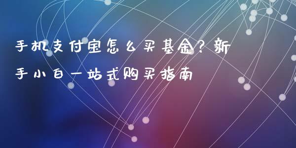 手机支付宝怎么买基金？新手小白一站式购买指南_https://www.fcdydaikuan.com_恒生指数直播室_第1张