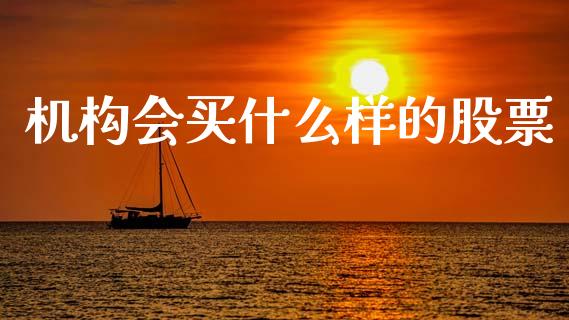 机构会买什么样的股票_https://www.fcdydaikuan.com_德指期货直播_第1张