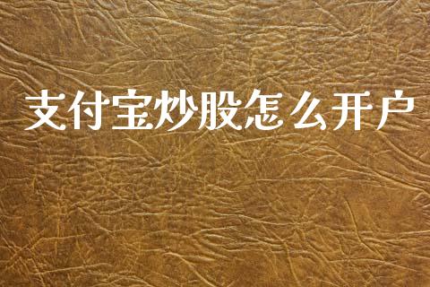 支付宝炒股怎么开户_https://www.fcdydaikuan.com_恒生指数直播室_第1张