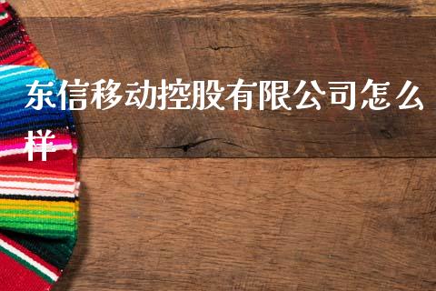 东信移动控股有限公司怎么样_https://www.fcdydaikuan.com_恒生指数直播室_第1张