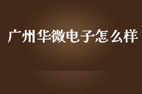 广州华微电子怎么样_https://www.fcdydaikuan.com_恒生指数直播室_第1张