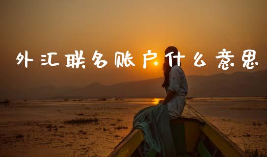 外汇联名账户什么意思_https://www.fcdydaikuan.com_德指期货直播_第1张