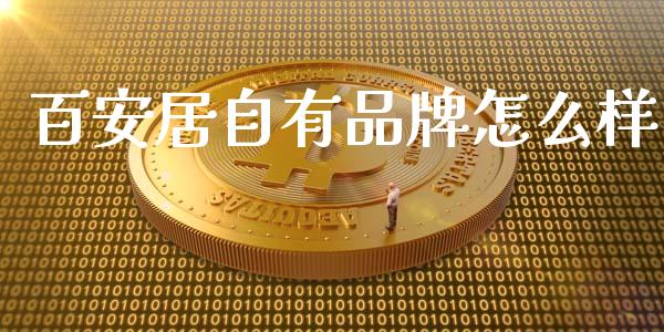 百安居自有品牌怎么样_https://www.fcdydaikuan.com_恒生指数直播室_第1张