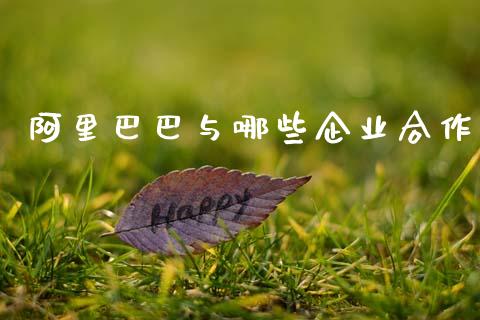 阿里巴巴与哪些企业合作_https://www.fcdydaikuan.com_恒生指数直播室_第1张