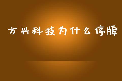 方兴科技为什么停牌_https://www.fcdydaikuan.com_恒生指数直播室_第1张