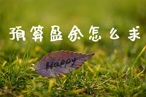 预算盈余怎么求_https://www.fcdydaikuan.com_德指期货直播_第1张