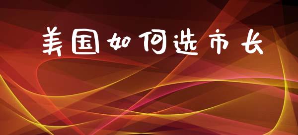 美国如何选市长_https://www.fcdydaikuan.com_恒生指数直播室_第1张
