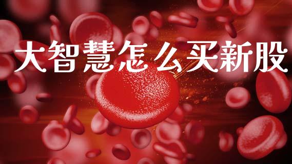 大智慧怎么买新股_https://www.fcdydaikuan.com_恒指期货直播_第1张