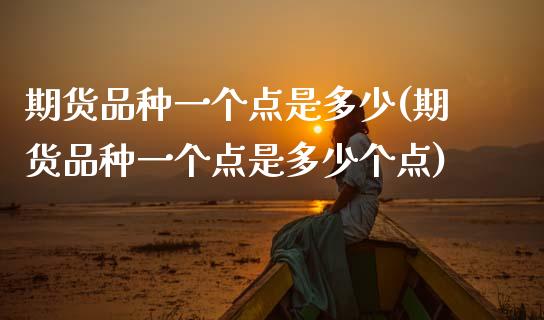 期货品种一个点是多少(期货品种一个点是多少个点)_https://www.fcdydaikuan.com_德指期货直播_第1张