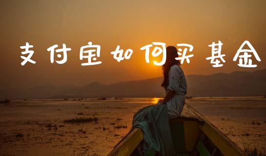 支付宝如何买基金_https://www.fcdydaikuan.com_黄金期货直播_第1张