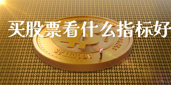 买股票看什么指标好_https://www.fcdydaikuan.com_黄金期货直播_第1张
