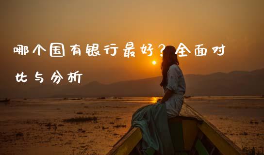 哪个国有银行最好？全面对比与分析_https://www.fcdydaikuan.com_德指期货直播_第1张