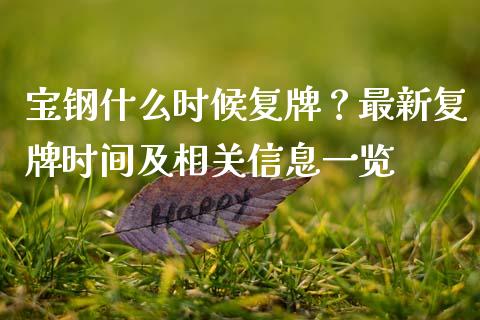 宝钢什么时候复牌？最新复牌时间及相关信息一览_https://www.fcdydaikuan.com_黄金期货直播_第1张