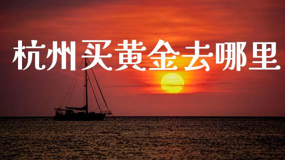 杭州买黄金去哪里_https://www.fcdydaikuan.com_德指期货直播_第1张