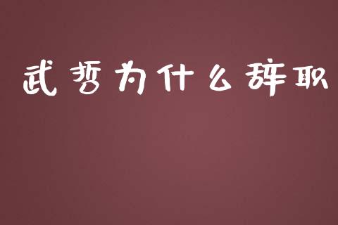 武哲为什么辞职_https://www.fcdydaikuan.com_德指期货直播_第1张