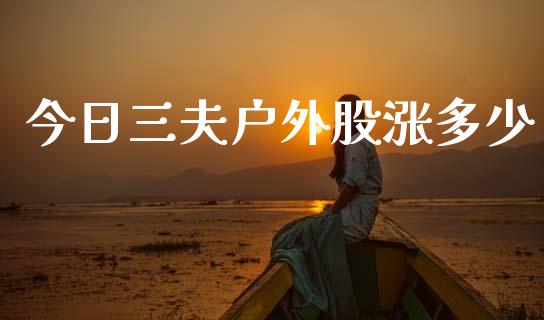 今日三夫户外股涨多少_https://www.fcdydaikuan.com_恒生指数直播室_第1张