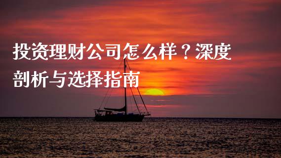 投资理财公司怎么样？深度剖析与选择指南_https://www.fcdydaikuan.com_德指期货直播_第1张
