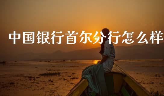 中国银行首尔分行怎么样_https://www.fcdydaikuan.com_德指期货直播_第1张