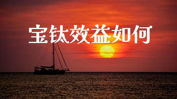 宝钛效益如何_https://www.fcdydaikuan.com_恒生指数直播室_第1张