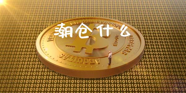 潮仓什么_https://www.fcdydaikuan.com_恒生指数直播室_第1张
