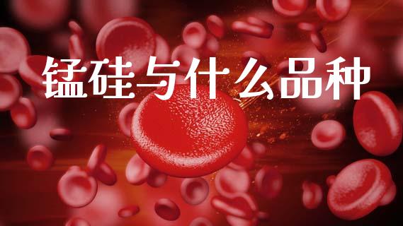 锰硅与什么品种_https://www.fcdydaikuan.com_德指期货直播_第1张