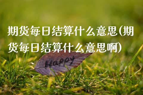期货每日结算什么意思(期货每日结算什么意思啊)_https://www.fcdydaikuan.com_黄金期货直播_第1张