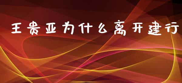 王贵亚为什么离开建行_https://www.fcdydaikuan.com_德指期货直播_第1张