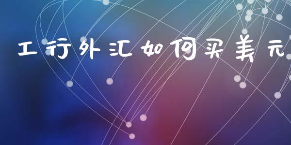 工行外汇如何买美元_https://www.fcdydaikuan.com_恒指期货直播_第1张