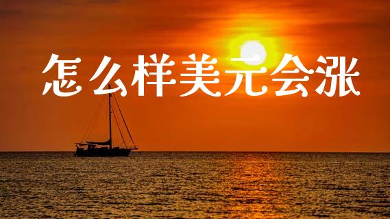 怎么样美元会涨_https://www.fcdydaikuan.com_德指期货直播_第1张