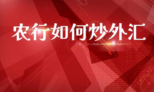 农行如何炒外汇_https://www.fcdydaikuan.com_恒指期货直播_第1张