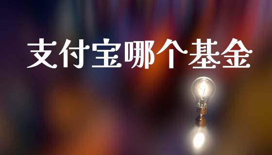 支付宝哪个基金_https://www.fcdydaikuan.com_恒生指数直播室_第1张