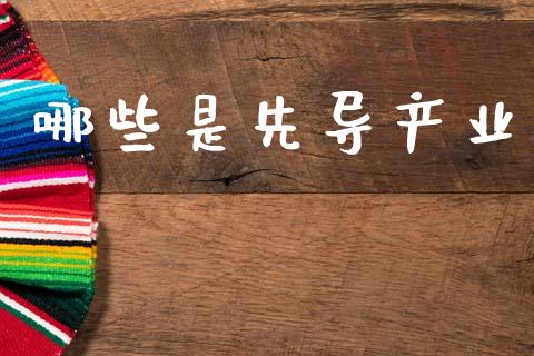 哪些是先导产业_https://www.fcdydaikuan.com_恒生指数直播室_第1张
