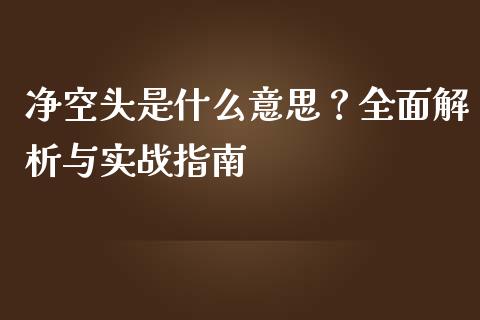 净空头是什么意思？全面解析与实战指南_https://www.fcdydaikuan.com_德指期货直播_第1张