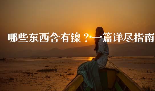 哪些东西含有镍？一篇详尽指南_https://www.fcdydaikuan.com_德指期货直播_第1张