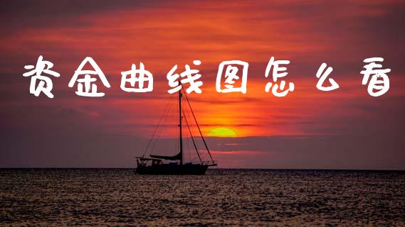 资金曲线图怎么看_https://www.fcdydaikuan.com_德指期货直播_第1张