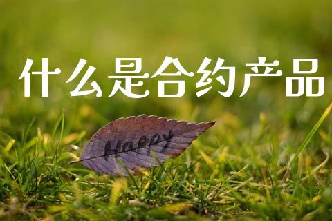 什么是合约产品_https://www.fcdydaikuan.com_黄金期货直播_第1张