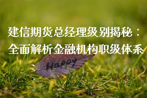 建信期货总经理级别揭秘：全面解析金融机构职级体系_https://www.fcdydaikuan.com_德指期货直播_第1张