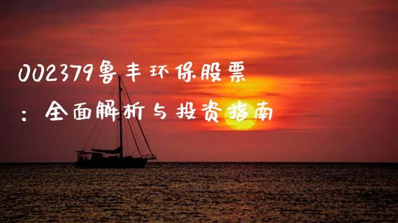 002379鲁丰环保股票：全面解析与投资指南_https://www.fcdydaikuan.com_黄金期货直播_第1张