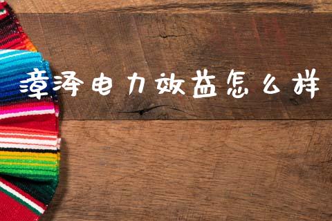 漳泽电力效益怎么样_https://www.fcdydaikuan.com_恒生指数直播室_第1张