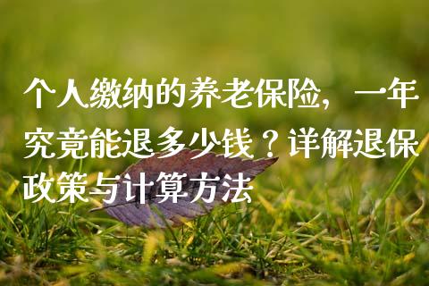 个人缴纳的养老保险，一年究竟能退多少钱？详解退保政策与计算方法_https://www.fcdydaikuan.com_恒指期货直播_第1张