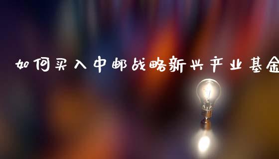 如何买入中邮战略新兴产业基金_https://www.fcdydaikuan.com_德指期货直播_第1张