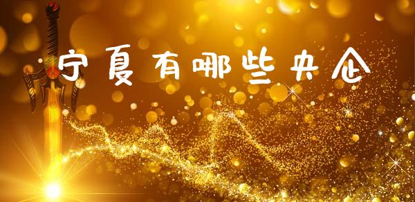 宁夏有哪些央企_https://www.fcdydaikuan.com_恒指期货直播_第1张