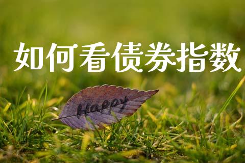 如何看债券指数_https://www.fcdydaikuan.com_德指期货直播_第1张