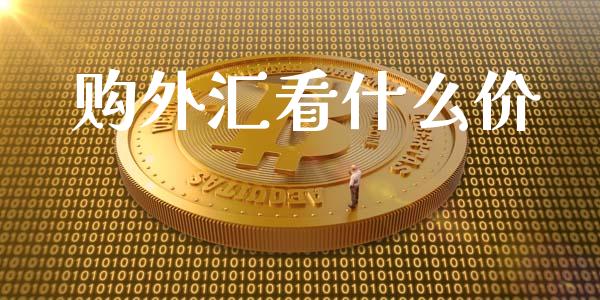 购外汇看什么价_https://www.fcdydaikuan.com_恒指期货直播_第1张