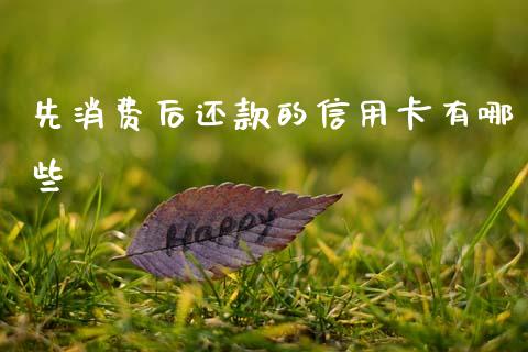 先消费后还款的信用卡有哪些_https://www.fcdydaikuan.com_黄金期货直播_第1张