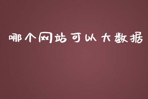 哪个网站可以大数据_https://www.fcdydaikuan.com_德指期货直播_第1张