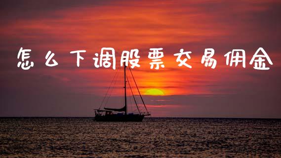 怎么下调股票交易佣金_https://www.fcdydaikuan.com_黄金期货直播_第1张