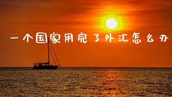 一个国家用完了外汇怎么办_https://www.fcdydaikuan.com_德指期货直播_第1张